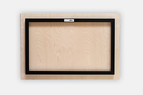 Nevada Mustang 2 3 Metal print