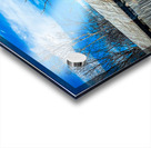 Barn Collection Acrylic print