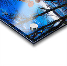 Oregon Coast 3 Acrylic print