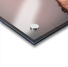 Oregon Coast 3 Acrylic print