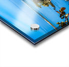 Oregon Coast 2 Acrylic print