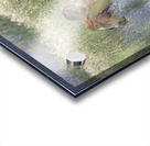 Wild Horse Nevada Series 4 Acrylic print