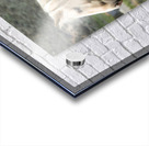 Wild Horse Nevada Series 10 Acrylic print