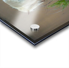 Wild Horse Nevada Series 13 Acrylic print