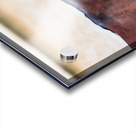 Wild Horse Series Nevada 14 Acrylic print