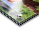 Nevada Virginia Range Series Acrylic print