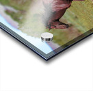 Nevada Virginia Range Series 3 Acrylic print