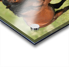 Nevada Virginia Range Series 4 Acrylic print