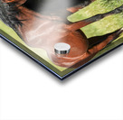 Nevada Virginia Range Series 5 Acrylic print