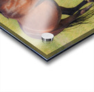 Nevada Virginia Range Series 6 Acrylic print