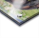 Nevada Virginia Range Series 7 Acrylic print