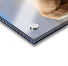 Nevada Virginia Range Series 9 Acrylic print