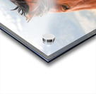 Nevada Virginia Range Series 10 Acrylic print