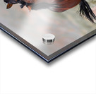 Nevada Virginia Range Series 11 Acrylic print