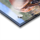 Nevada Virginia Range Series 13 Acrylic print