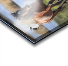 Nevada Virginia Range Series 14 Acrylic print