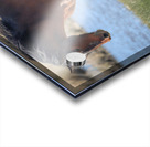 Nevada Virginia Range Series 15 Acrylic print