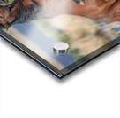 Nevada Virginia Range Series 16 Acrylic print