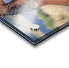 Nevada Virginia Range Series 17 Acrylic print