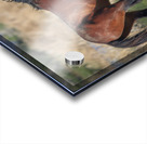 Nevada Virginia Range Series 20 Acrylic print