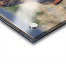 Nevada Virginia Range Series 24 Acrylic print