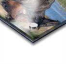 Nevada Virginia Range Series 25 Acrylic print