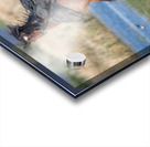 Nevada Virginia Range Series 26 Acrylic print