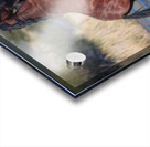 Nevada Virginia Range Series 28 Acrylic print