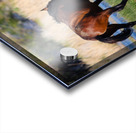 Nevada Virginia Range Series 29 Acrylic print