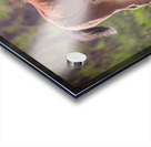 Nevada Virginia Range Series 31 Acrylic print