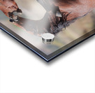 Nevada Virginia Range Series 32 Acrylic print