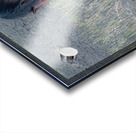 Nevada Virginia Range Series 33 Acrylic print