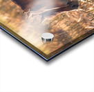 Nevada Virginia Range Series 34 Acrylic print