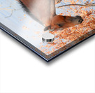 Nevada Virginia Range Series 35 Acrylic print