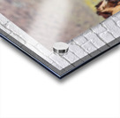 Mono Lake Wild Horse Series 1 Acrylic print