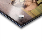 Mono Lake Wild Horse Series 1 Acrylic print