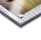 Mono Lake Wild Horse Series 1 Acrylic print