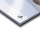 Mono Lake Wild Horse Series 1 Acrylic print