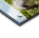 Marietta Wild Burro Range HMA 1 Acrylic print