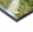 Marietta Wild Burro Range HMA 1 Acrylic print