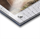 Marietta Wild Burro Range HMA 2 Acrylic print