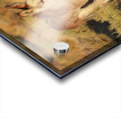 Marietta Wild Burro Range HMA 1 Acrylic print