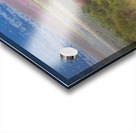 Nevada Mustang series 5 1 Acrylic print