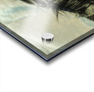 Nevada Mustang series 8  1 Acrylic print