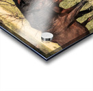 Nevada Mustang series 10 1 Acrylic print