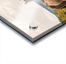 Nevada Mustang series 12 1 Acrylic print