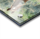 Nevada Mustang series 13 1 Acrylic print