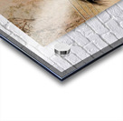 Nevada Mustang series 14 1 Acrylic print