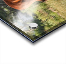 Nevada wild 3 Acrylic print