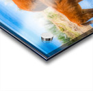 Nevada wild 6 Acrylic print